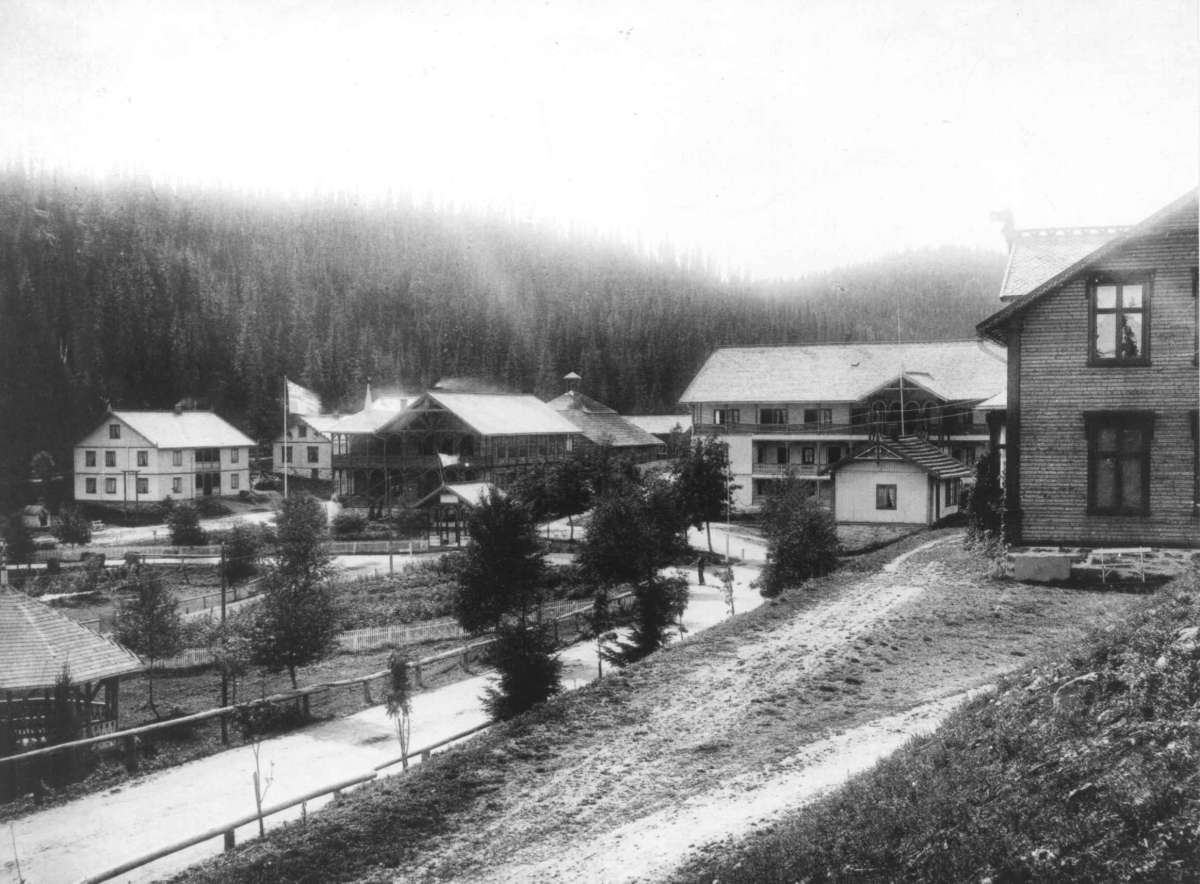 Marthinius Skøien, Tonsåsen sanatorium, Etnedal, Oppland.