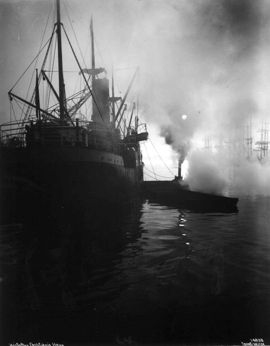 Anders Beer Wilse, NF.08668-022