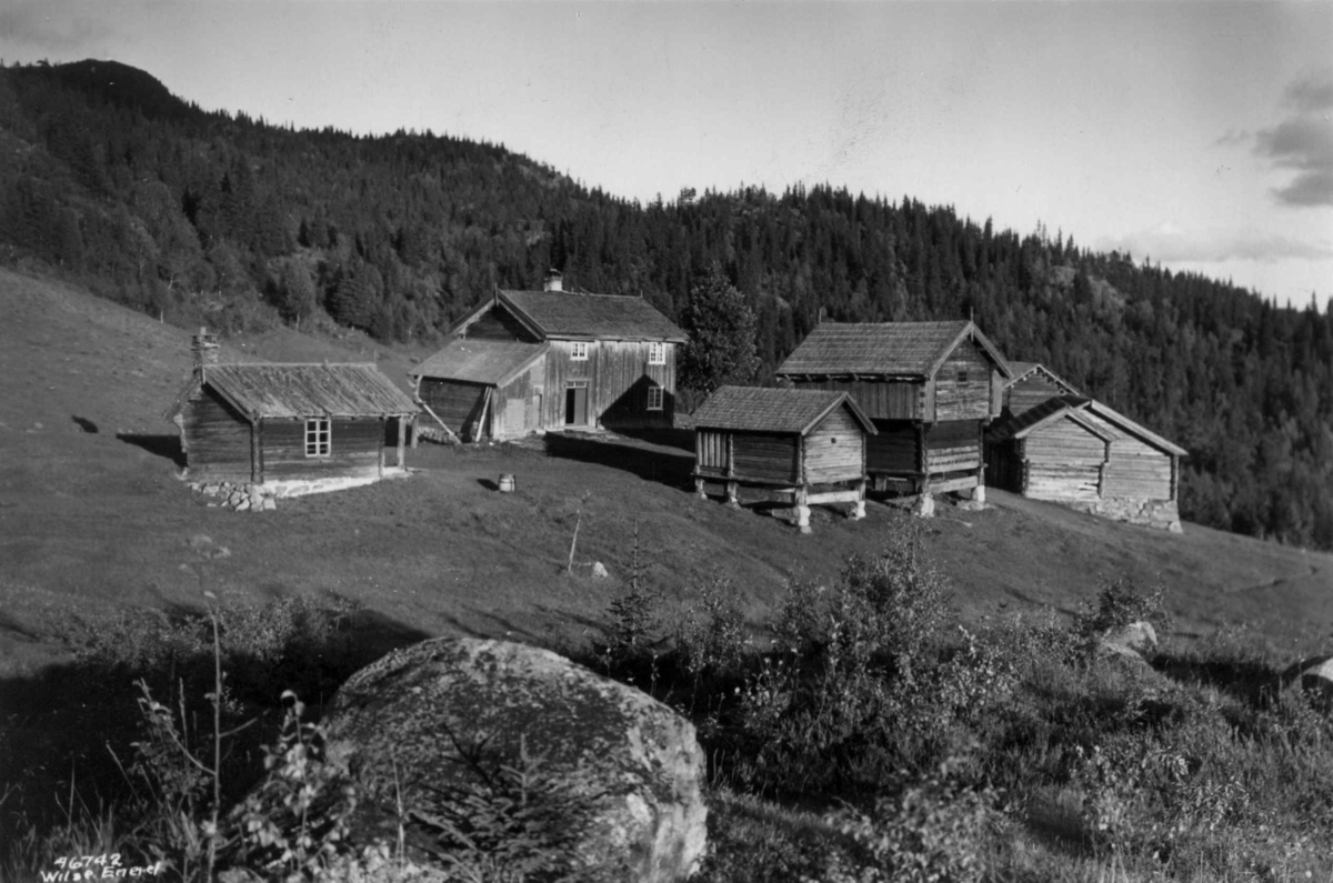 Anders Beer Wilse, Gård