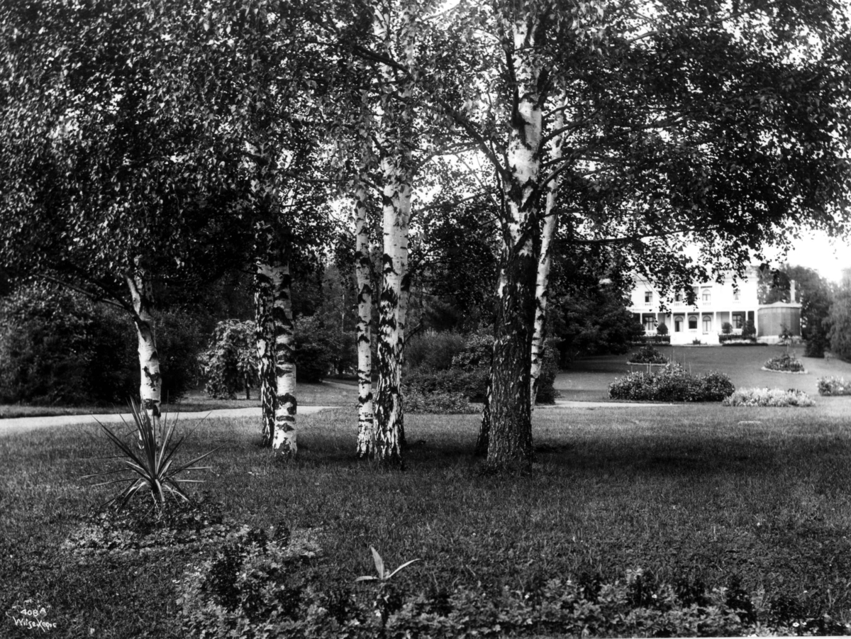 Anders Beer Wilse, Skøyen hovedgård, Oslo 1903. Huset sett fra parken.