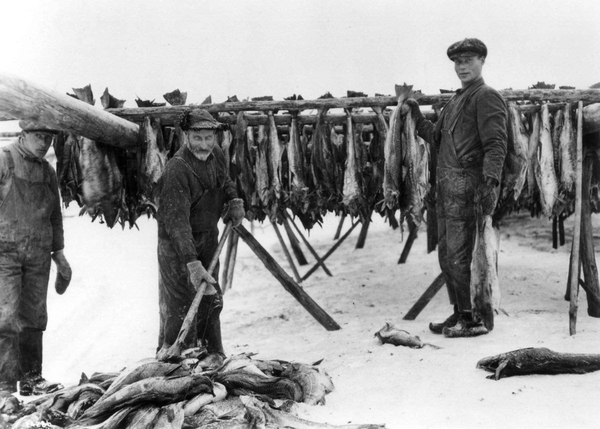 Anders Beer Wilse, Fisken henges til tørk