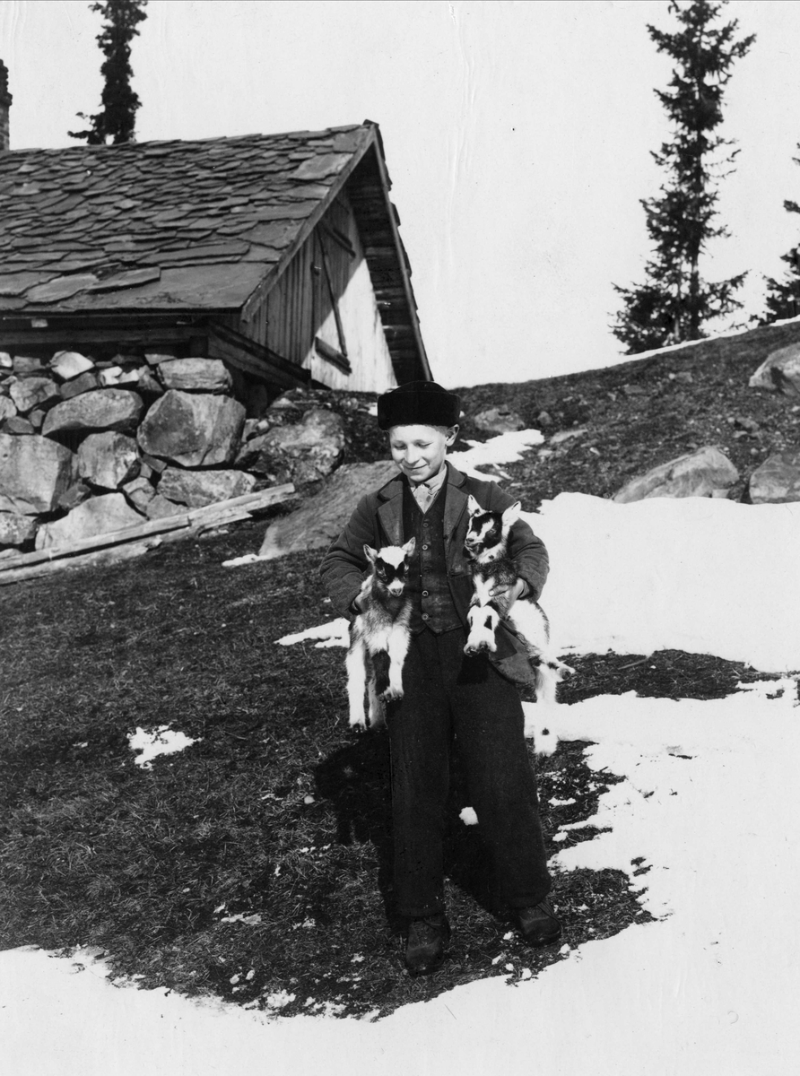 Robert Collett, Gutt med to geiter under armene utendørs, ukjent sted. Serie tatt av Robert Collett (1842-1913), amatørfotograf og professor i zoologi.