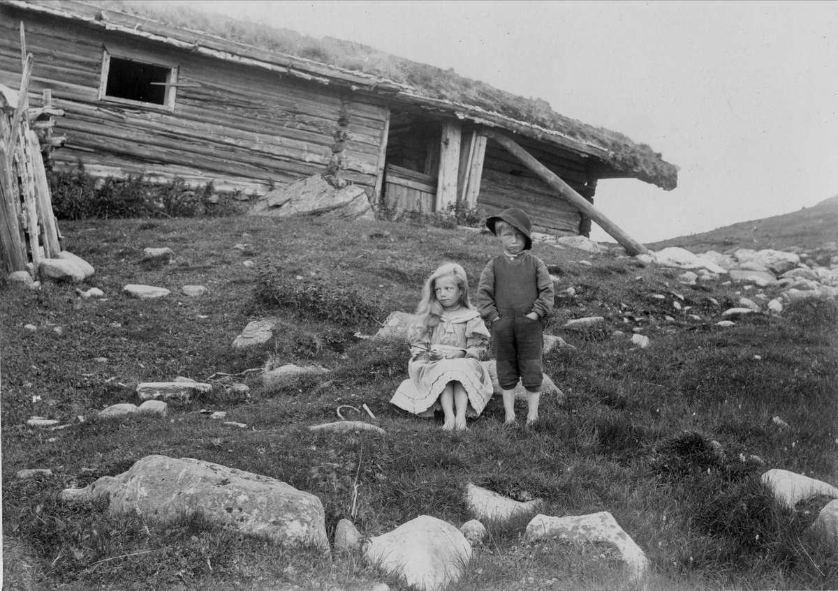 Robert Collett, Barn i landskap foran laftet hus, ukjent sted. Serie tatt av Robert Collett (1842-1913), amatørfotograf og professor i zoologi.