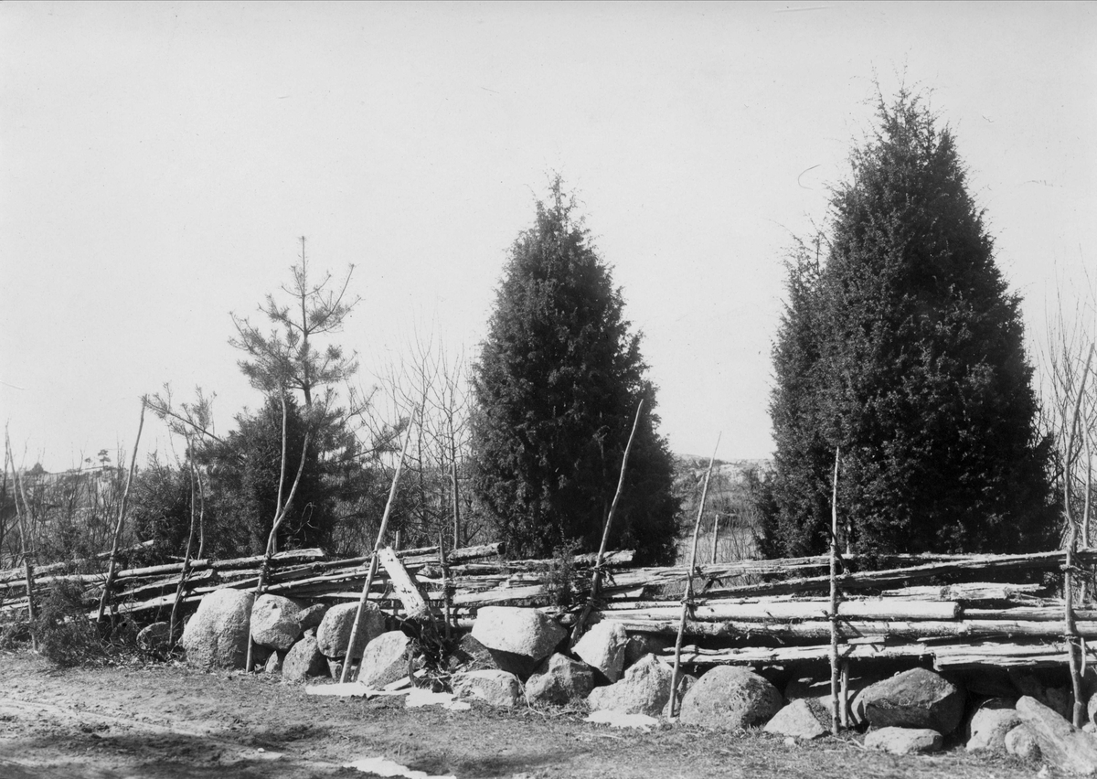 Robert Collett, Landskap med gjerde, ukjent sted. Serie tatt av Robert Collett (1842-1913), amatørfotograf og professor i zoologi.