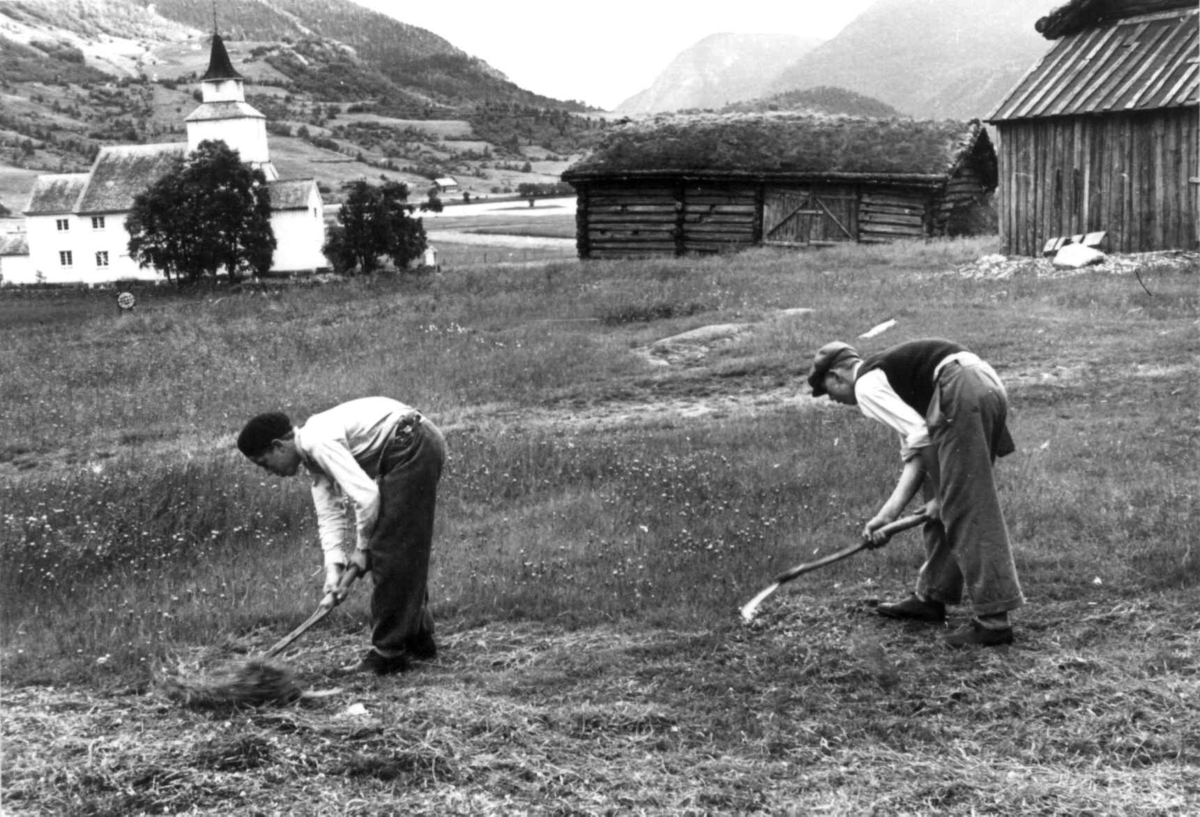 Anna Grostøl, Valle 1939. Torleiv Åkre og sønnene hans slår høy med stuttorvsljå på den gamle "Sjei-vodden". En kirke i bakgrunnen.