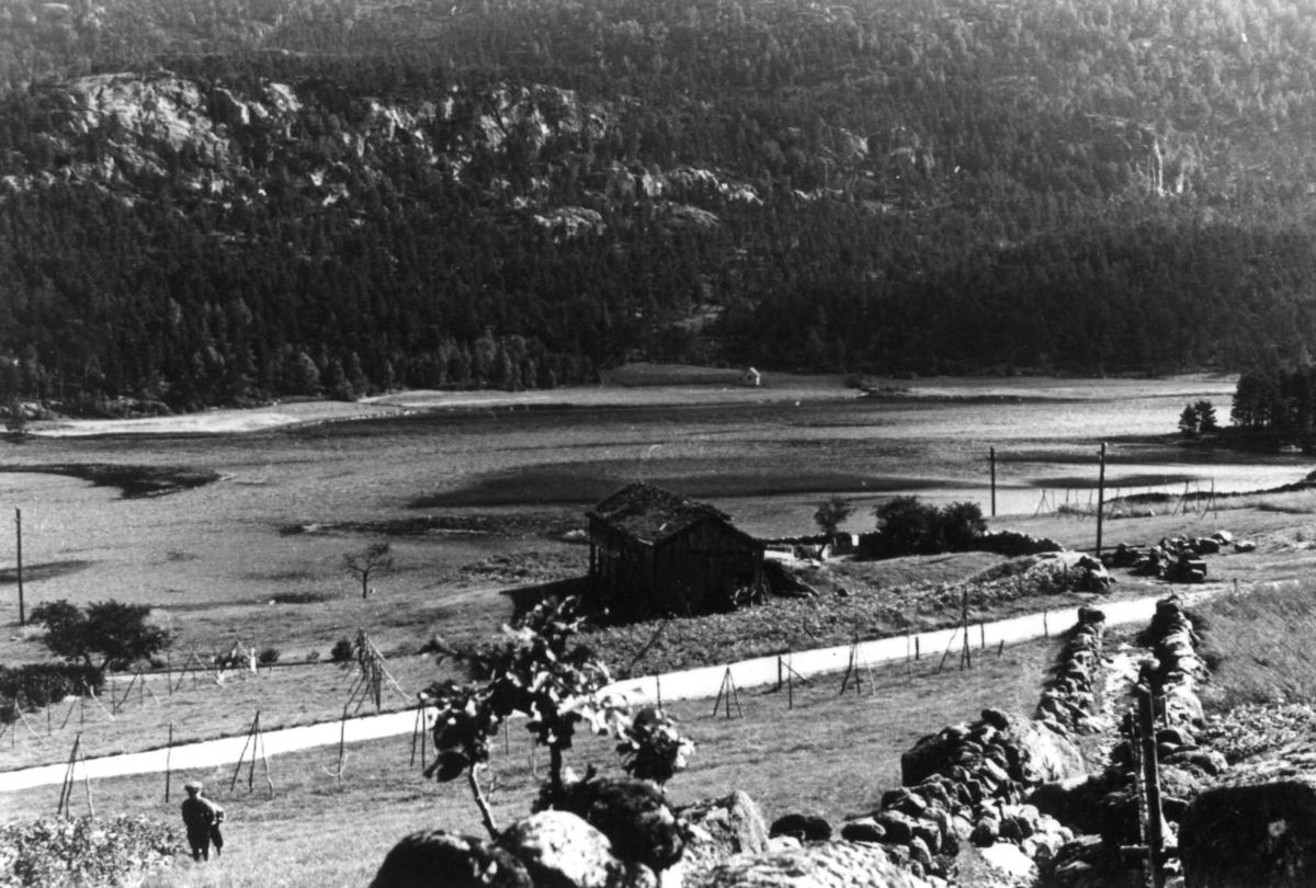 Anna Grostøl, "Hamp-ågr-berje" med vei og uthus sett ovenfra. Haddeland 1941. Haddeland 1941.