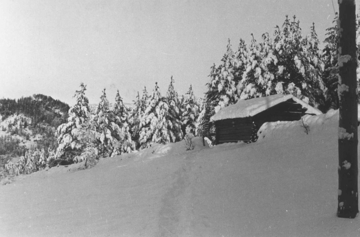 Anna Grostøl, Badstuen på Austegard i vinterlandskap. Åseral, Vest-Agder 1943.
