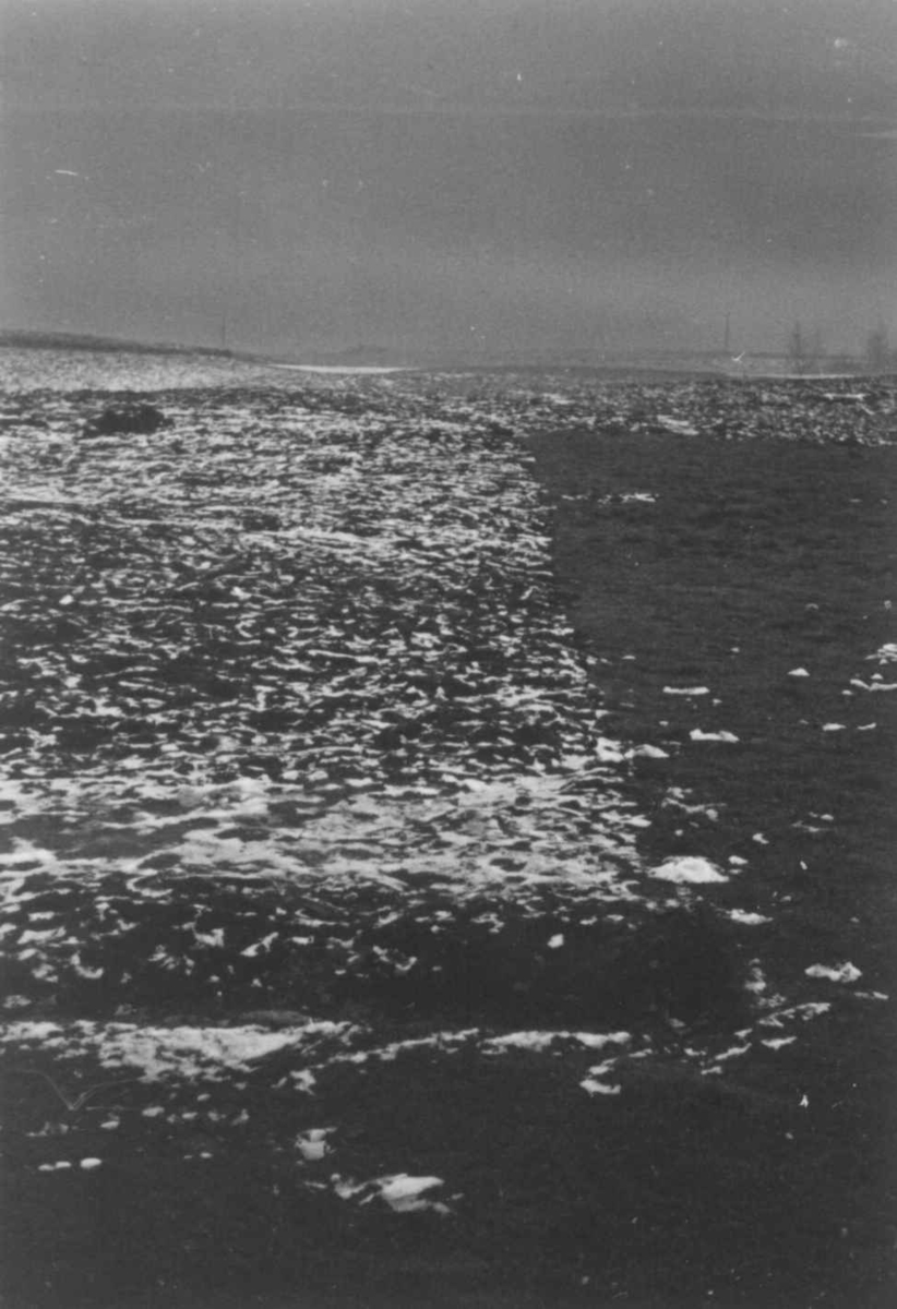 Anna Grostøl, Utsikt fra Austegard. Åseral, Vest-Agder 1943.