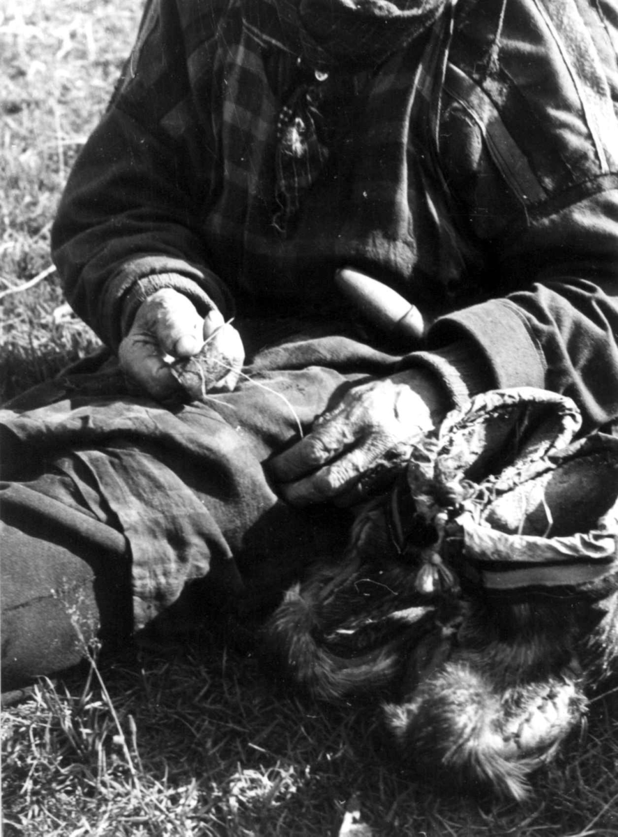 Anna Grostøl, Skallesøm. En person syr skaller. Lyngen, Troms 1947.