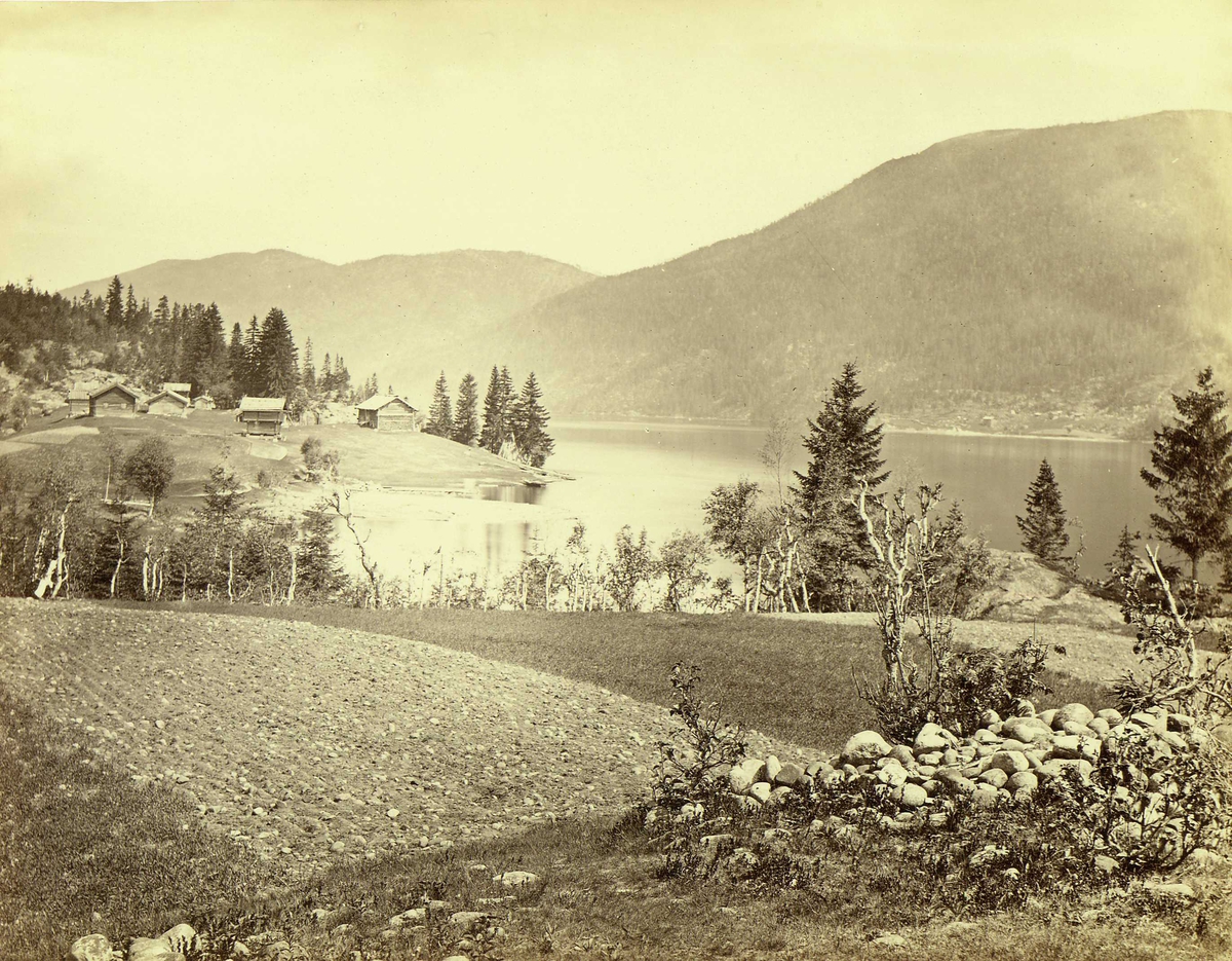 Henry Rosling, Landskap, Tinnoset, Notodden, Telemark, med gårdstun. Fra serie norske landskapsfotografier tatt av den engelske fotografen Henry Rosling (1828-1911).