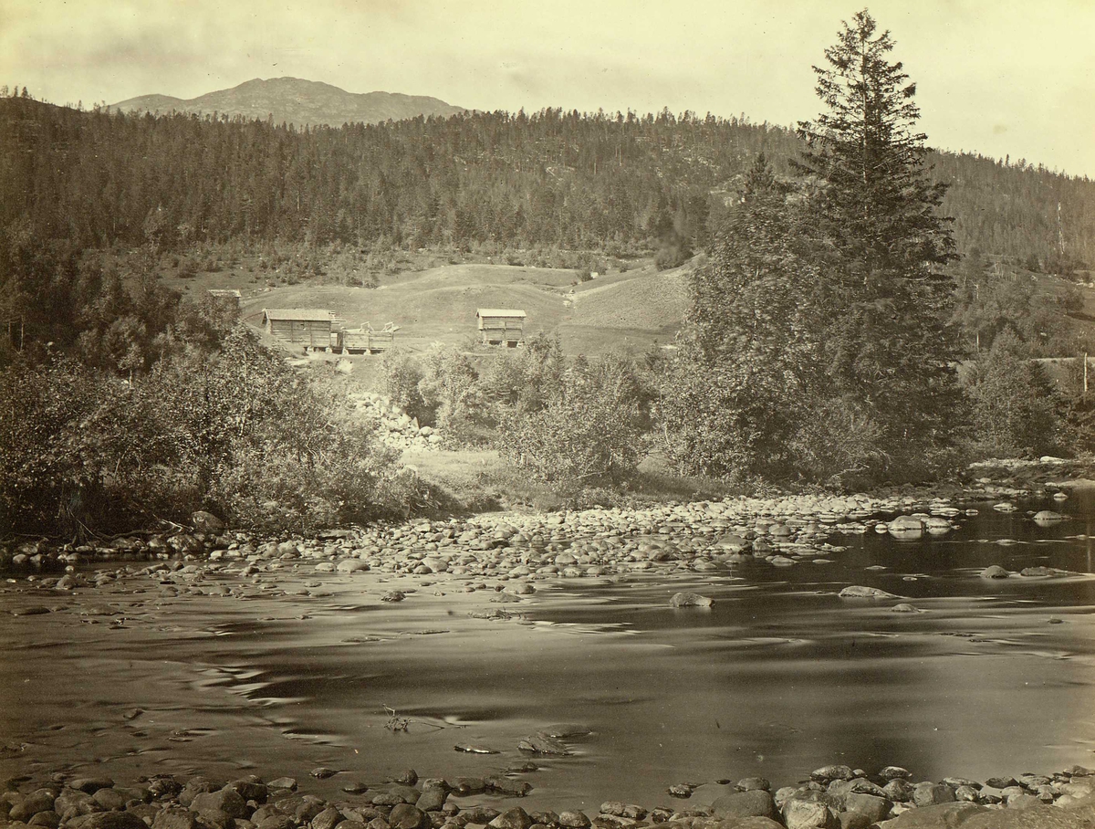 Henry Rosling, Landskap, Hjartdal ("Hjerdal"), Telemark, elveparti med gårdstun i bakgrunnen. Fra serie norske landskapsfotografier tatt av den engelske fotografen Henry Rosling (1828-1911).