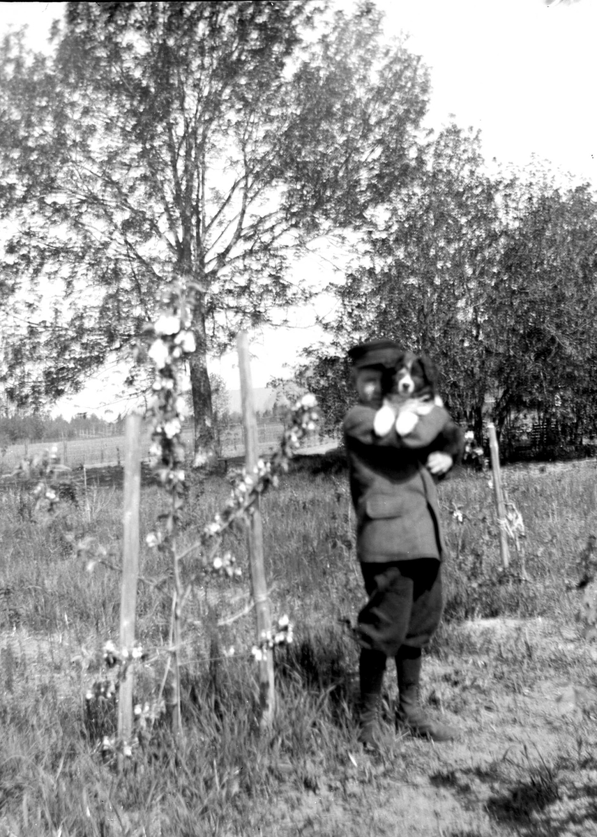 Juliane Fredrikke Langberg, Portrett av gutt med hund, Kristofer G. Holm, sønn av presten i Hurum, Olaf A. Holm, gift med fotografens søster Louise. Gutten har lue, jakke, nikkers og snørestøvler. Han står i frukthage. Fra malerinne Juliane Fredrikke Langbergs (1856-1930) samling, tatt ca.1895-1910 med motivkrets slekt og ven…