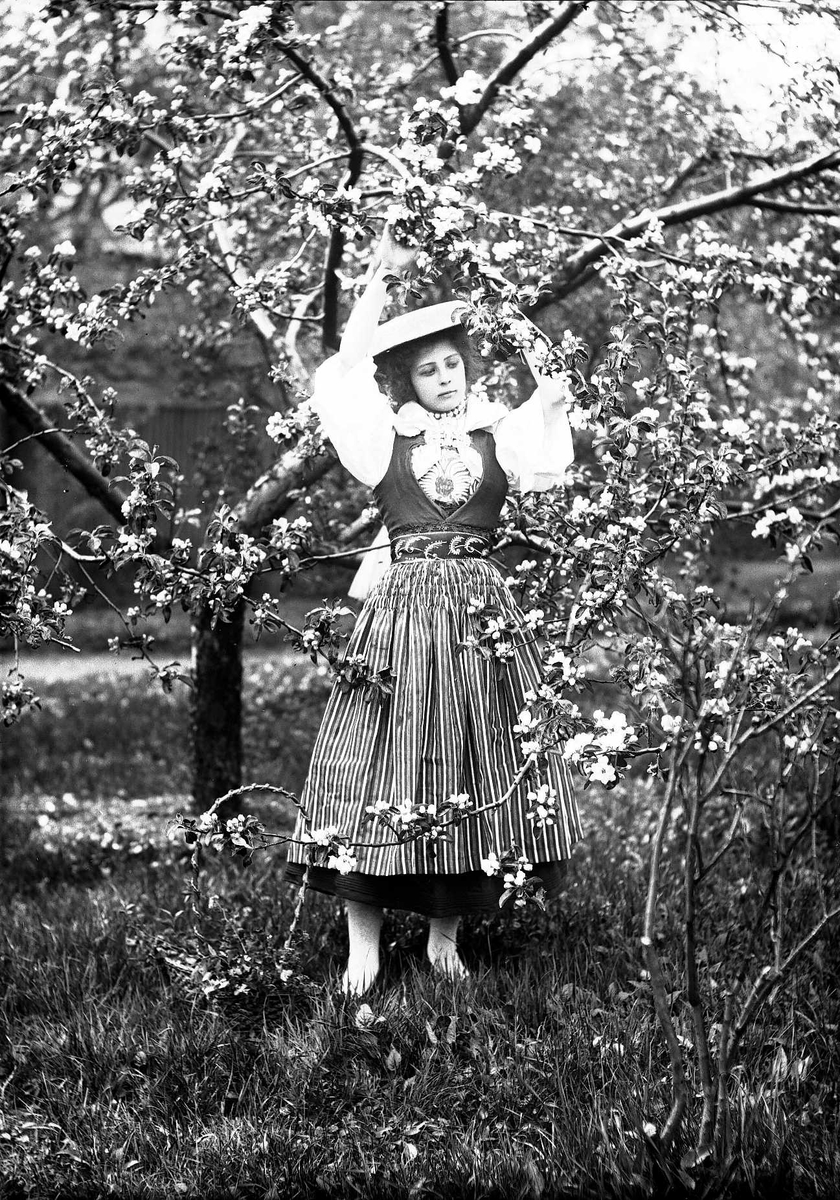 Solveig Lund, Pike i drakt som holder i grenene til et blomstrende blommetre.