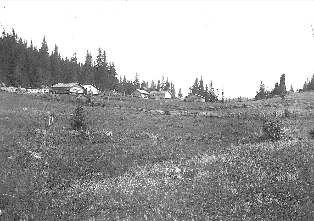 Axel Quinsgaard Wiborg, Setervollen med bebyggelse, Holoa seter, Hadeland, Jevnaker, Oppland, 1903.