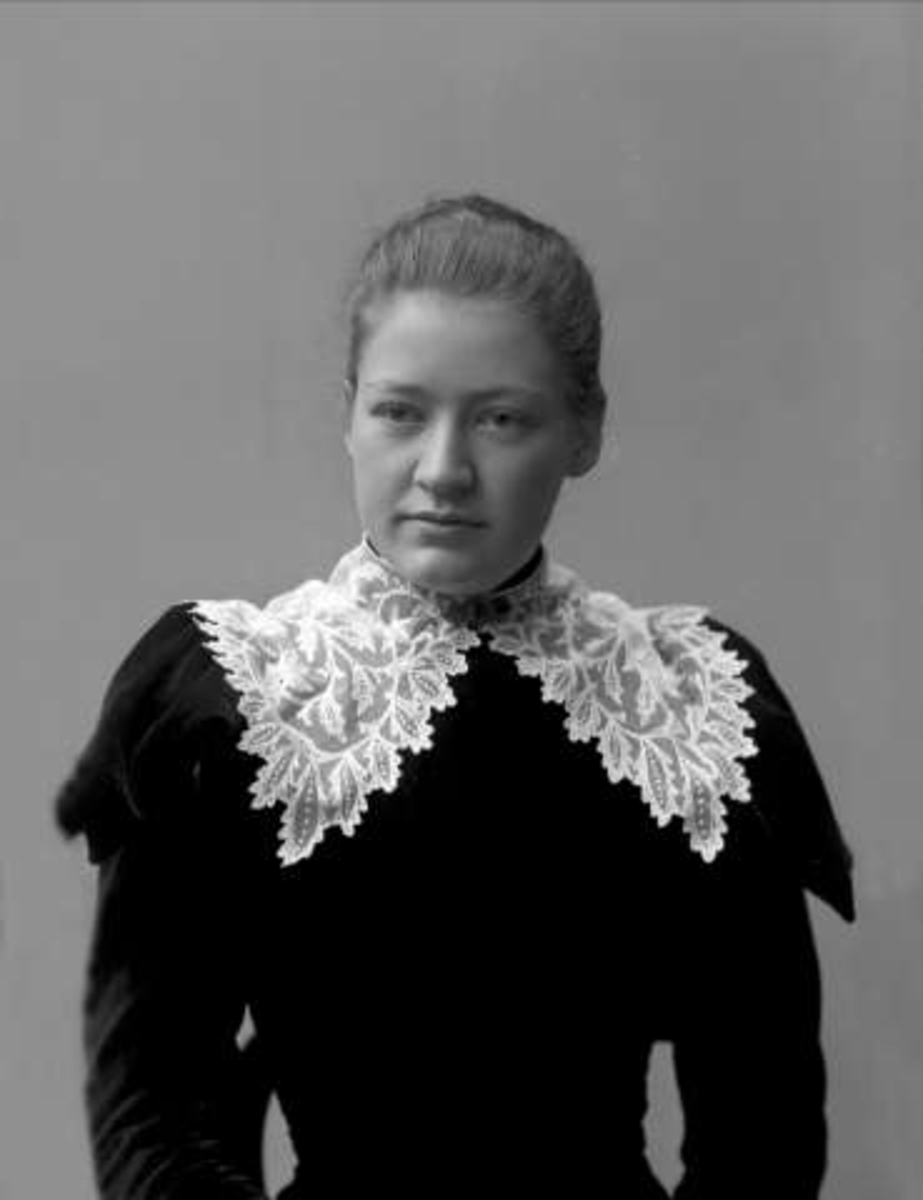 Gustav Borgen, NFB.01511