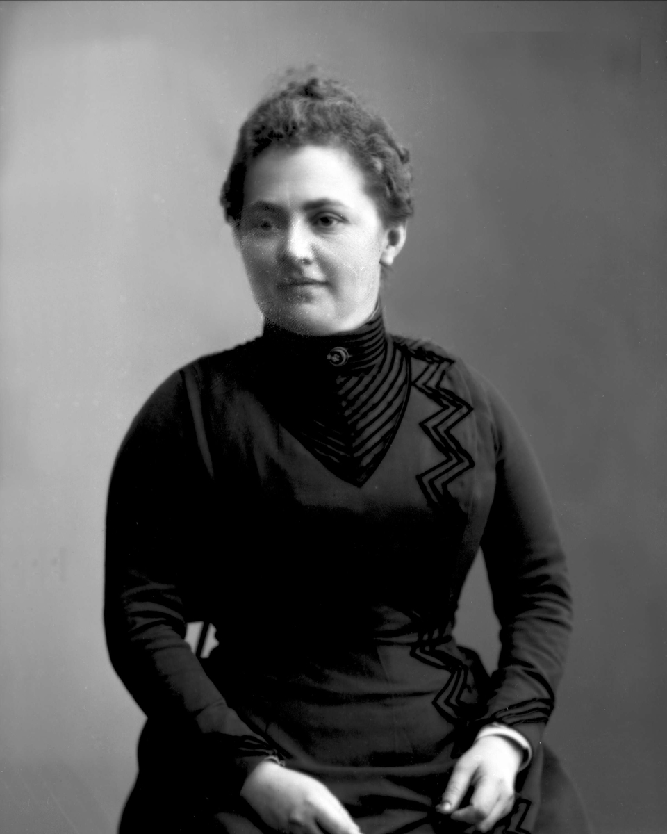 Gustav Borgen, NFB.03762