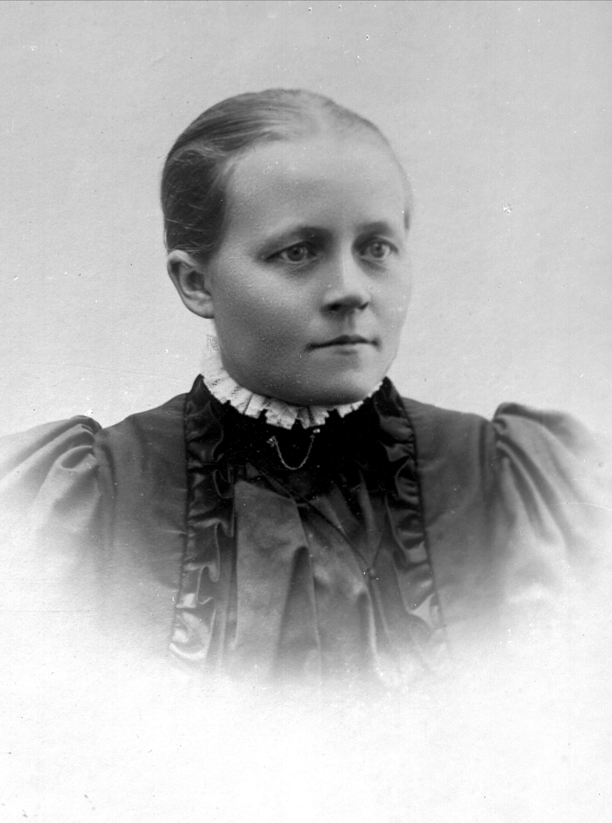 Gustav Borgen, Avfotografering.