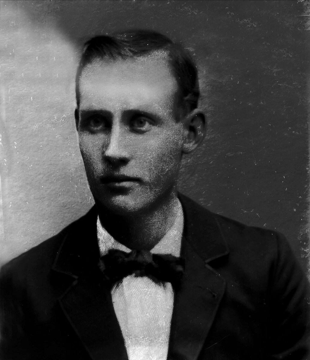 Gustav Borgen, Avfotografering.