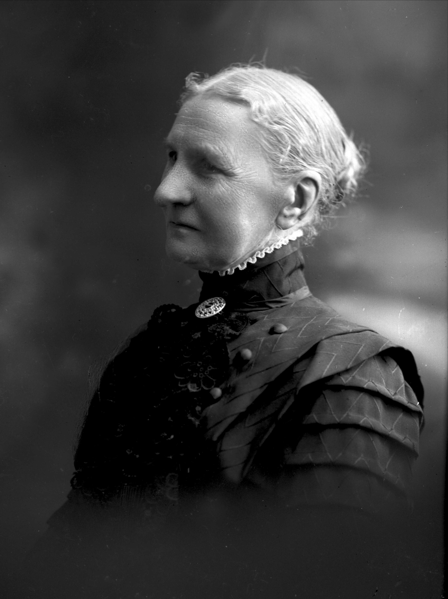 Gustav Borgen, NFB.05095