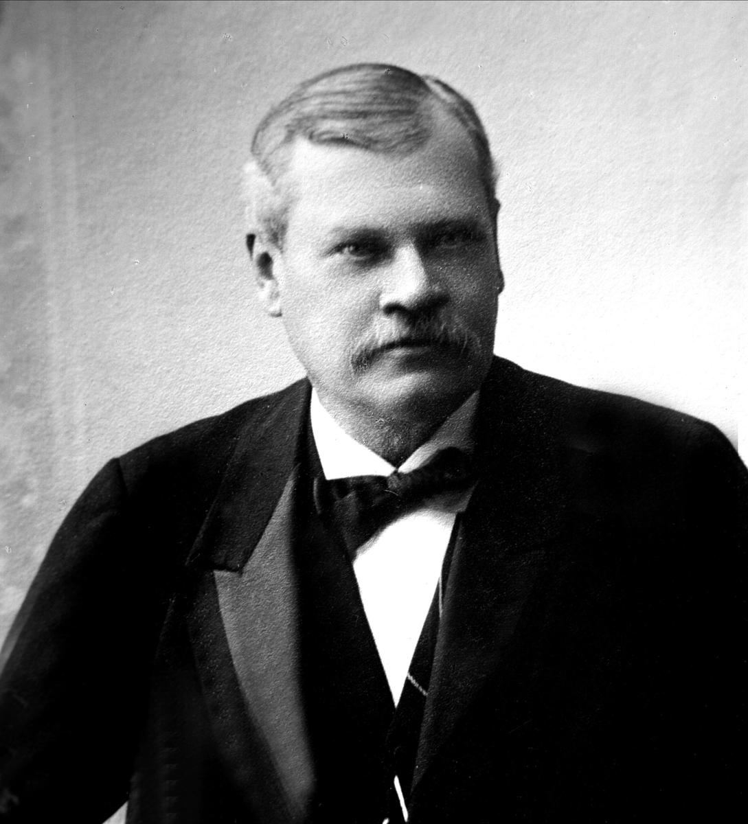 Gustav Borgen, Avfotografering.