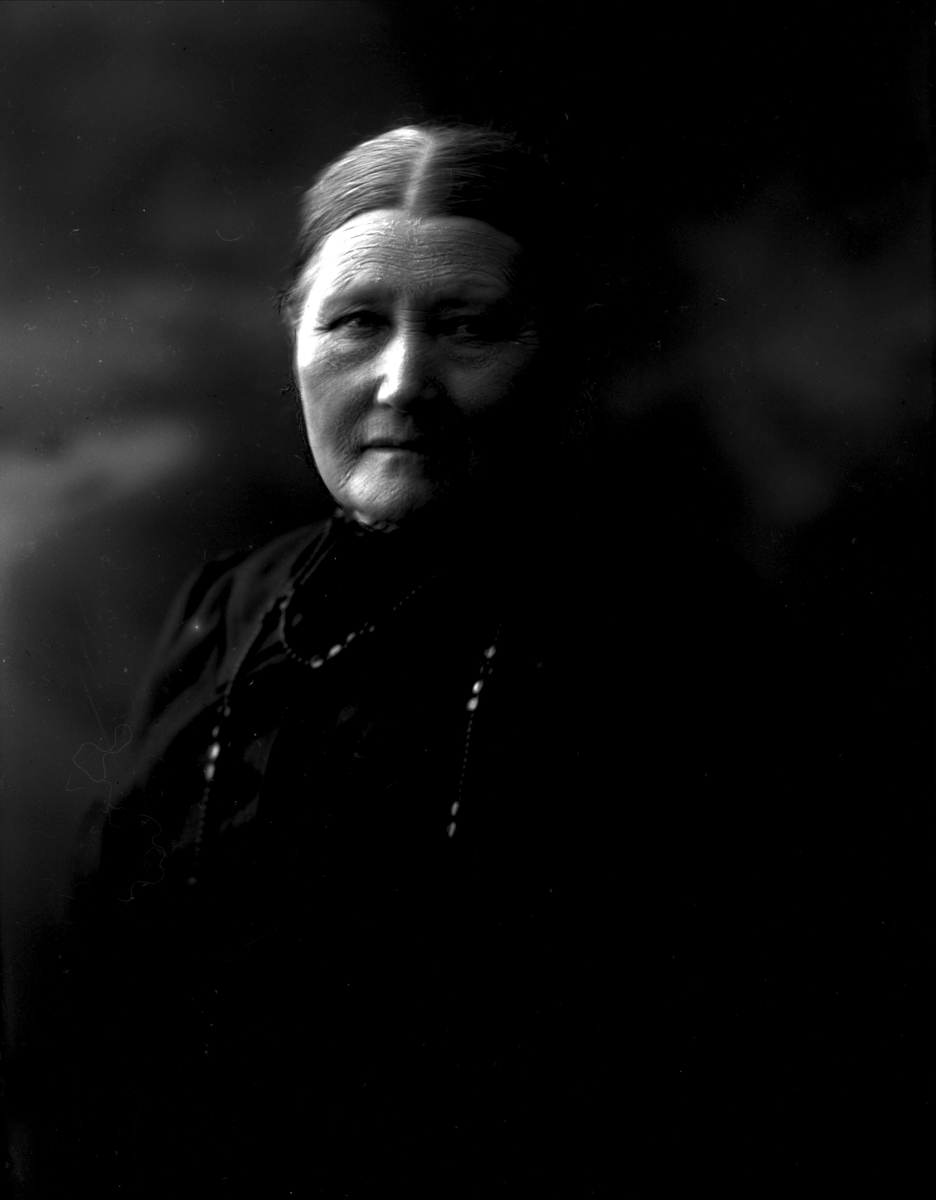 Gustav Borgen, NFB.05736
