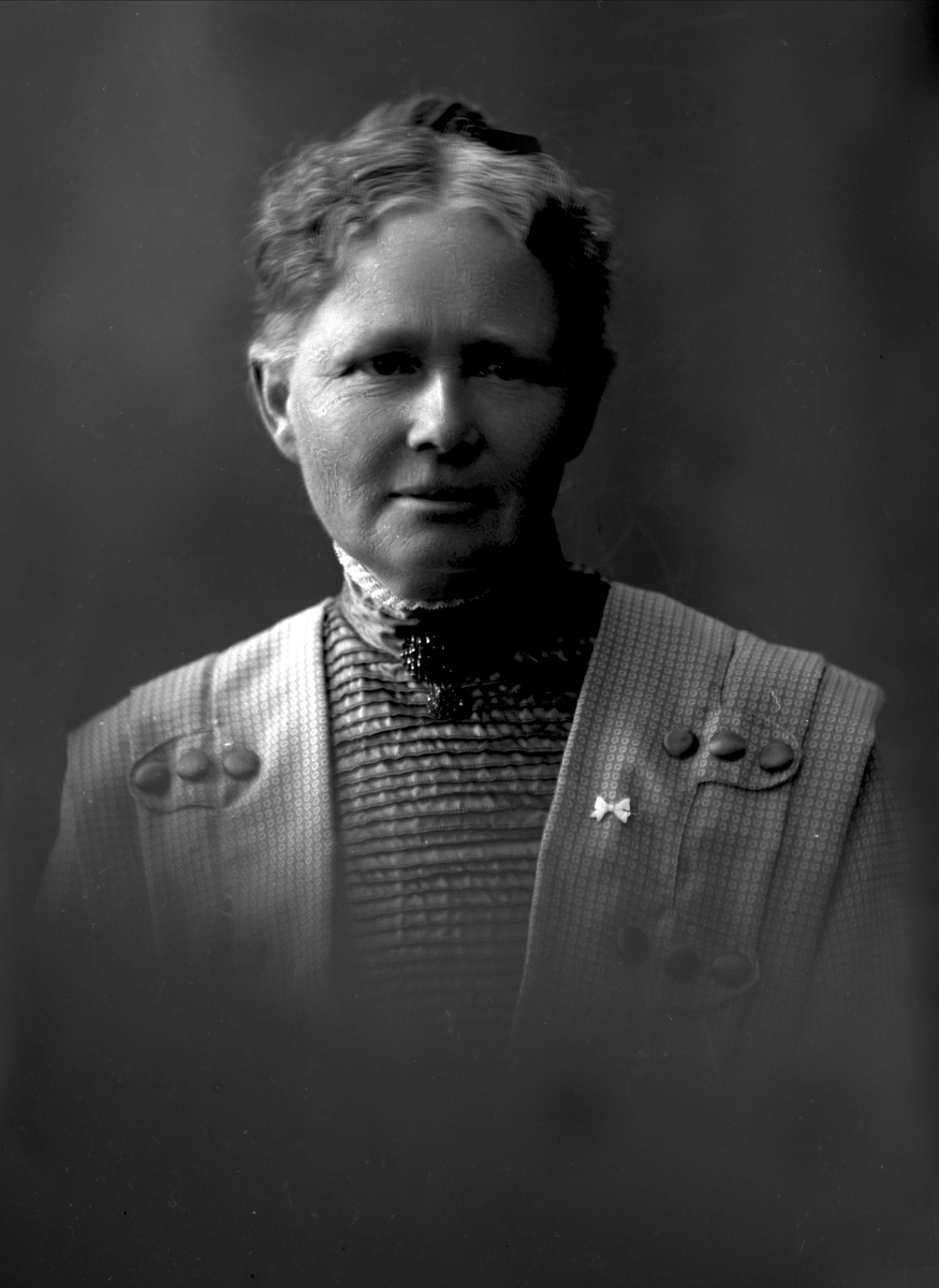Gustav Borgen, Portrett av folkeskolelærerinne frøken Hanna Morgenstierne.