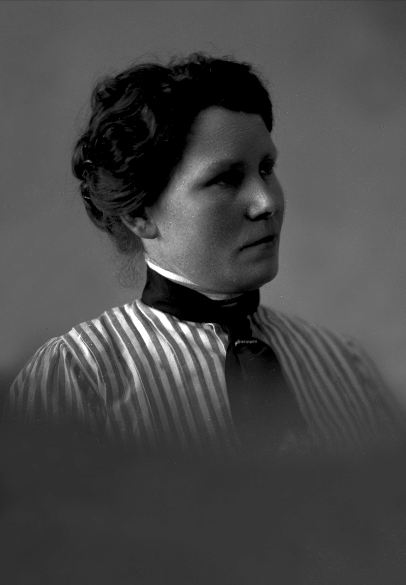 Gustav Borgen, NFB.05821