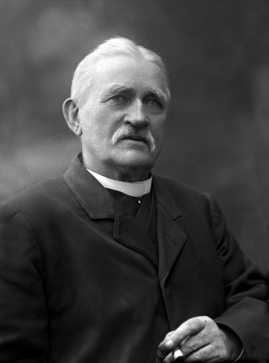 Gustav Borgen, NFB.05883
