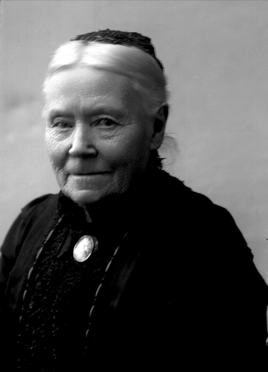Gustav Borgen, NFB.05903