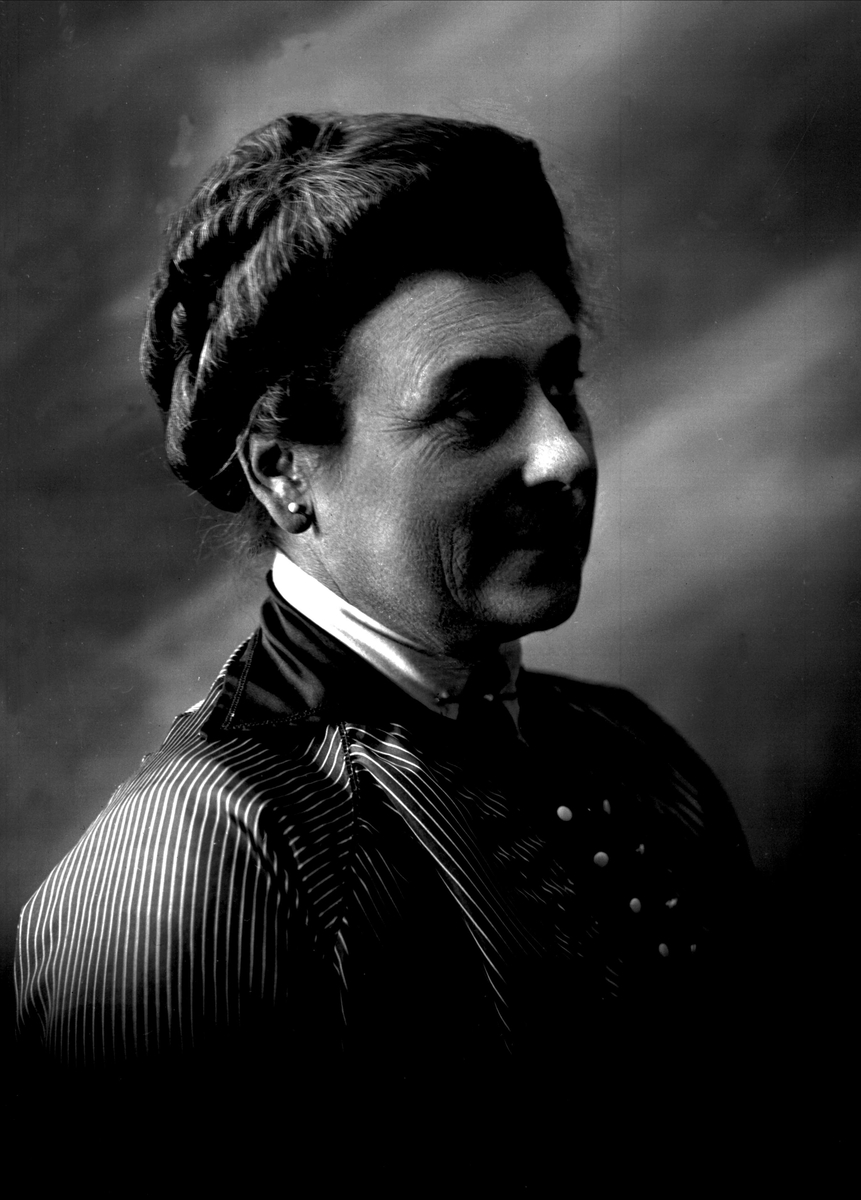 Gustav Borgen, NFB.05917