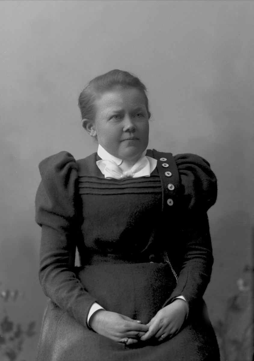 Gustav Borgen, NFB.16315