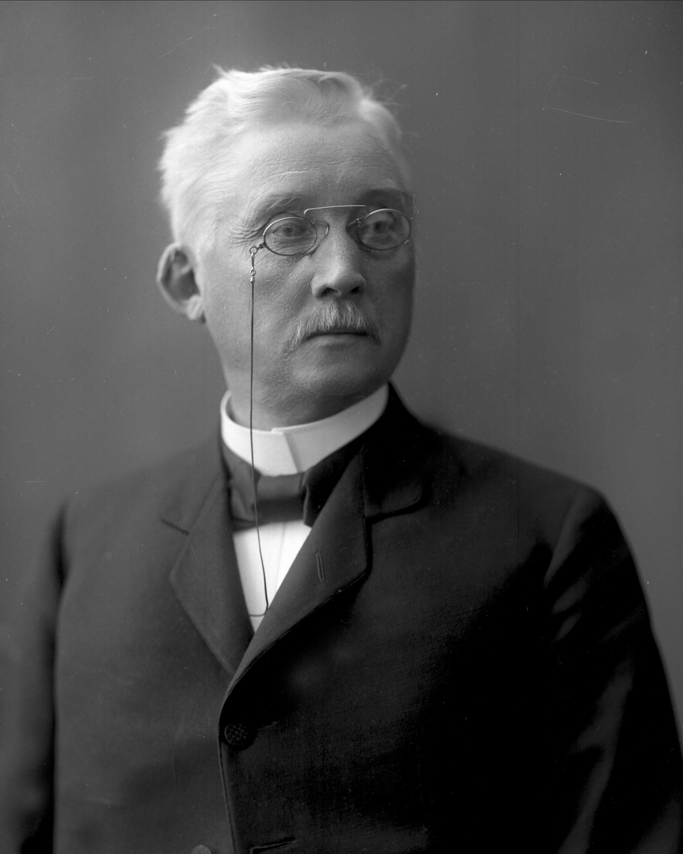 Gustav Borgen, NFB.20014