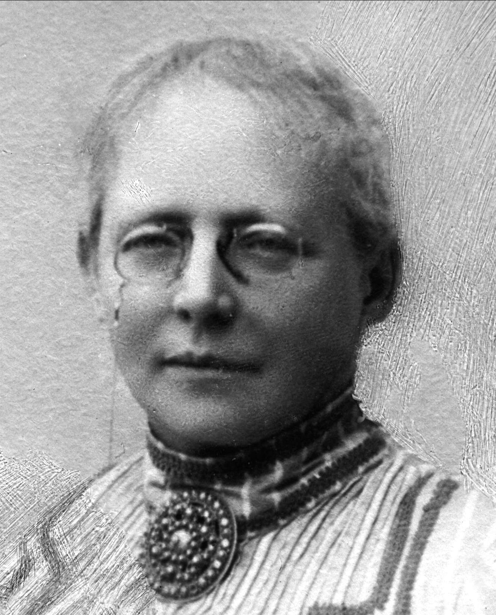 Gustav Borgen, Avfotografering.