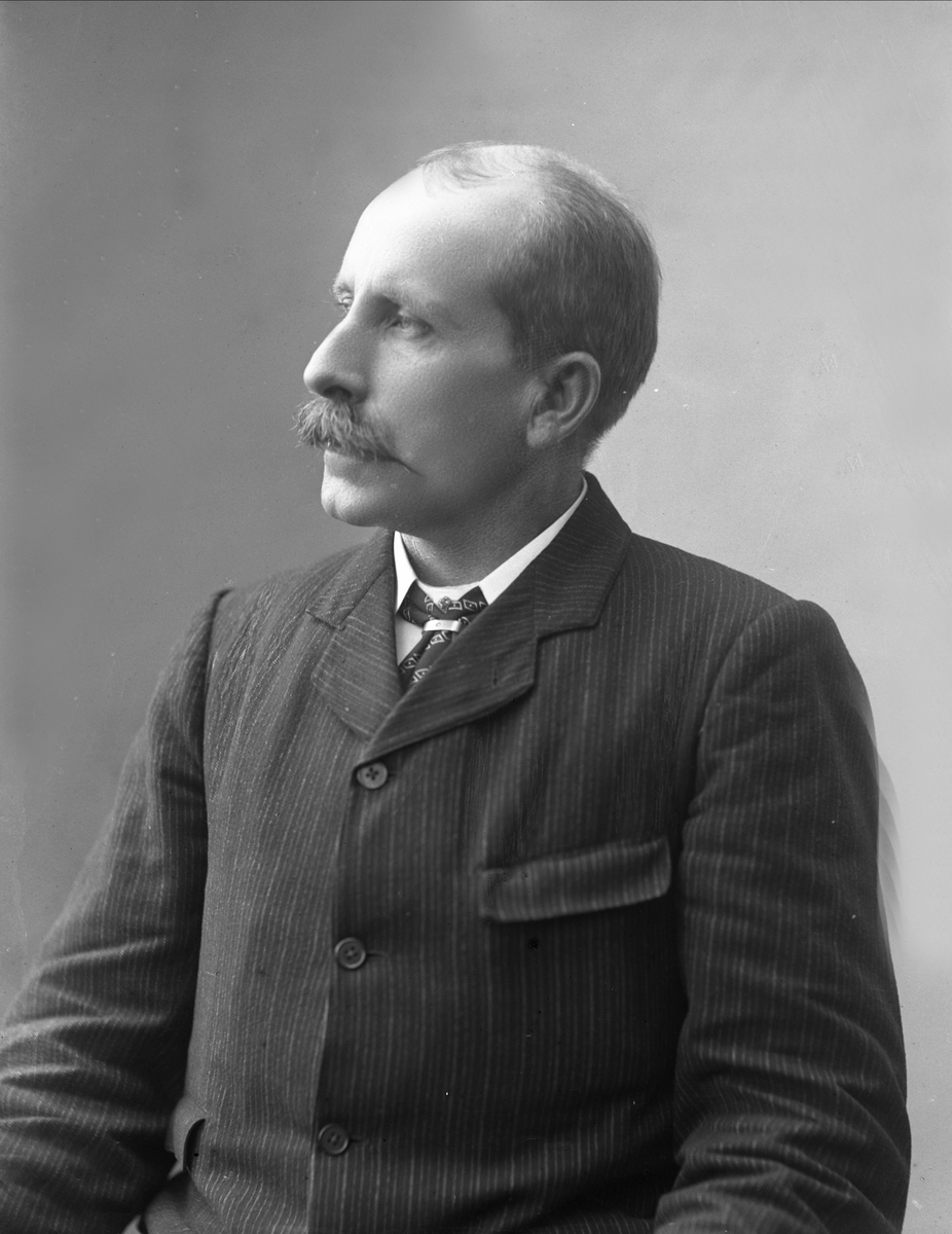 Gustav Borgen, NFB.25837