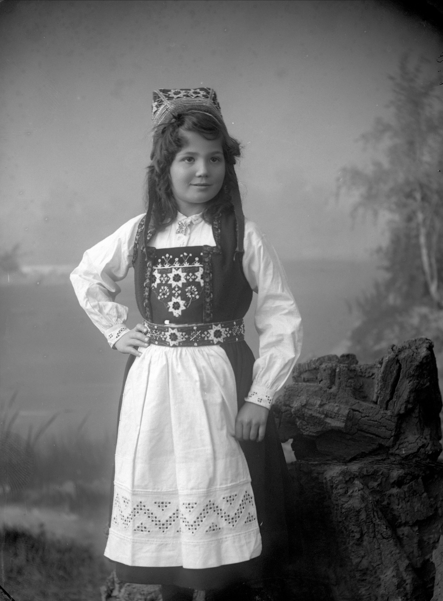 Gustav Borgen, NFB.25888