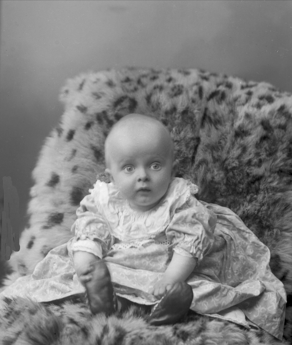 Gustav Borgen, NFB.26049