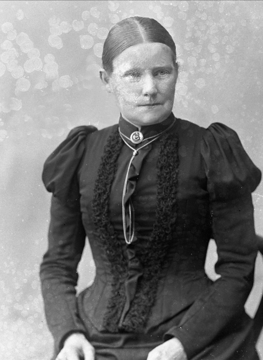 Gustav Borgen, NFB.27447