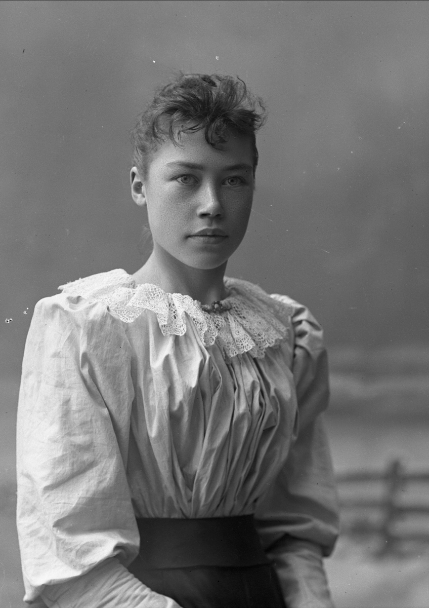 Gustav Borgen, NFB.27487