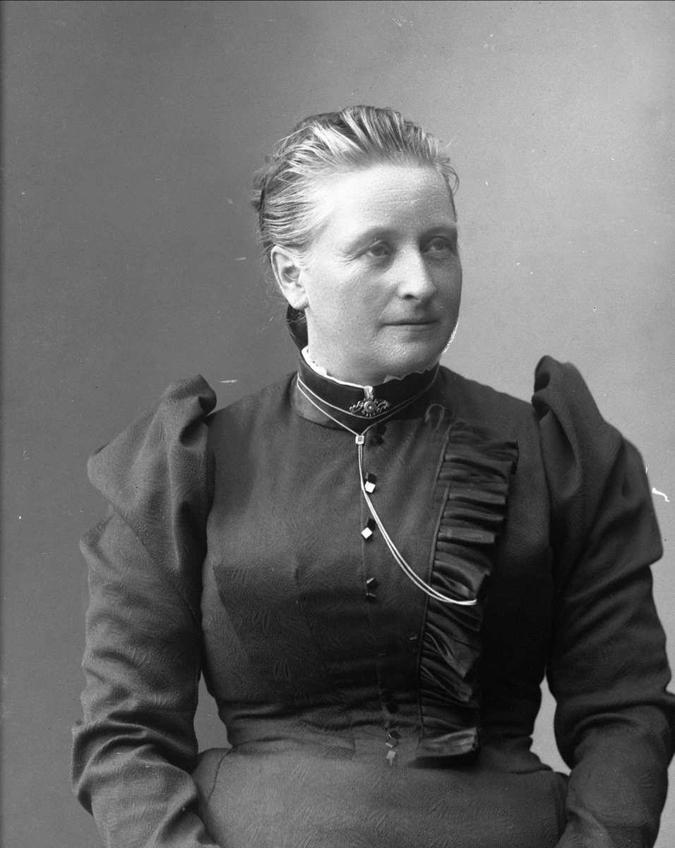 Gustav Borgen, NFB.27548