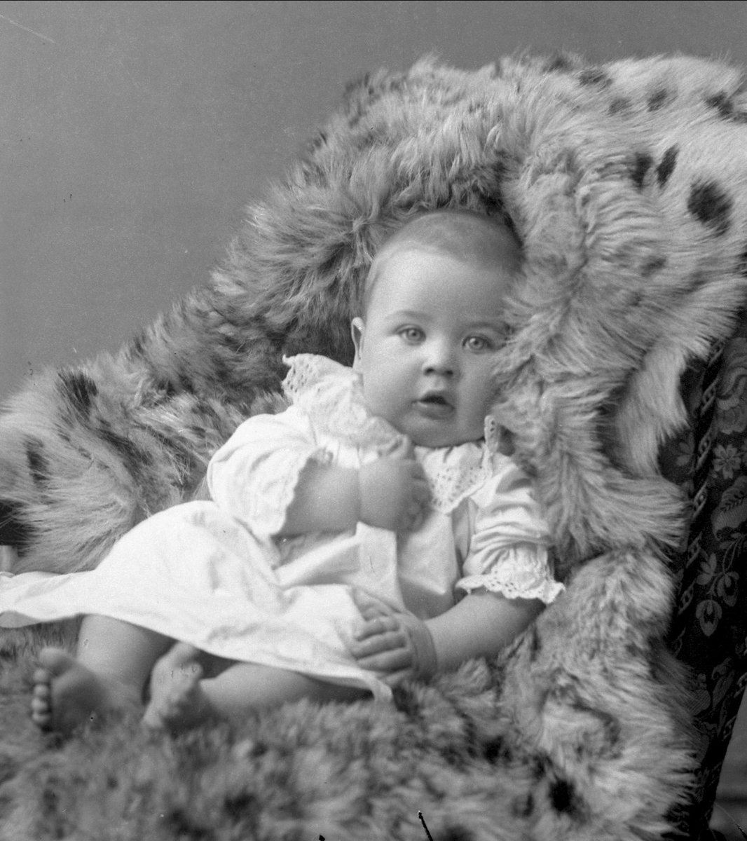 Gustav Borgen, NFB.27571