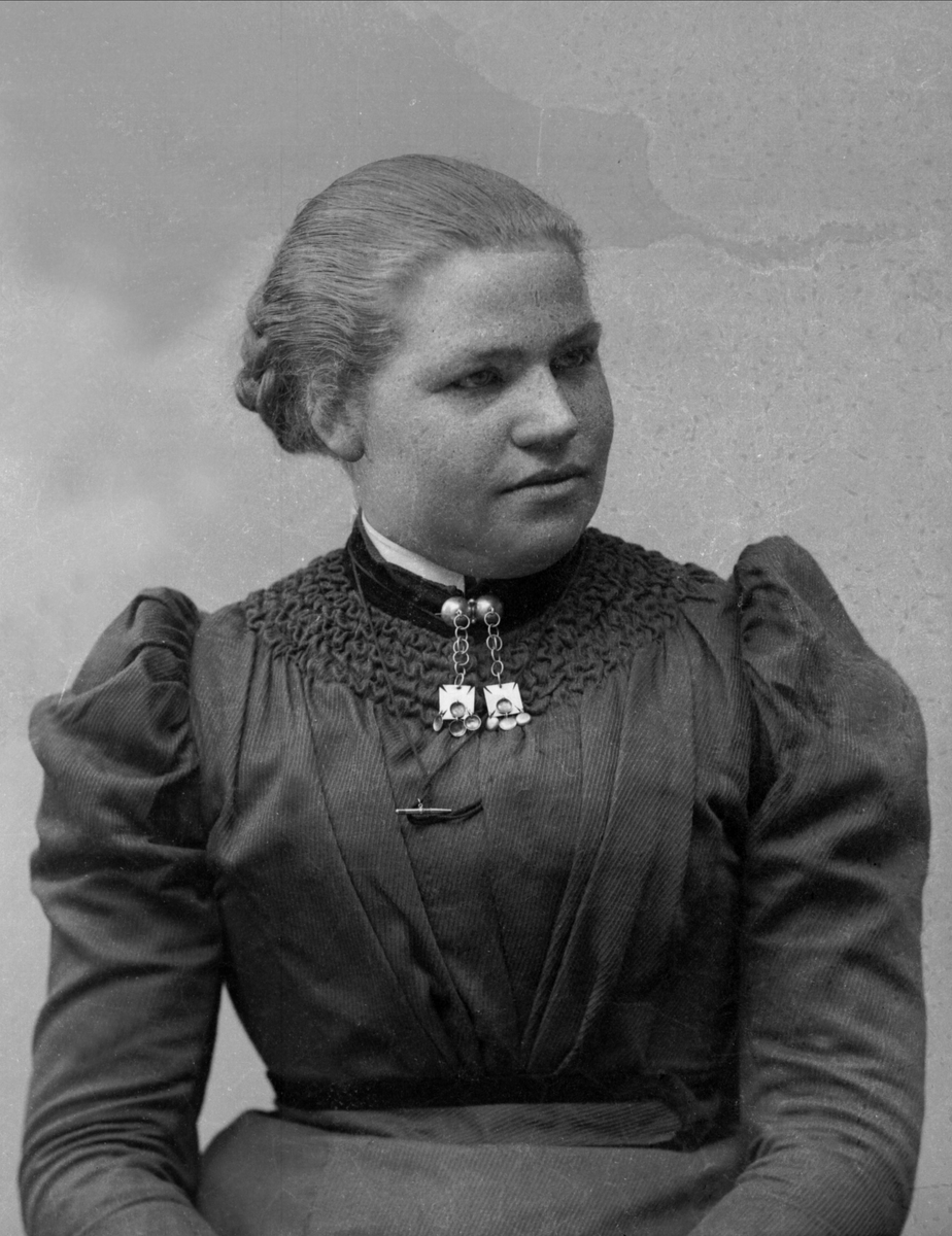 Gustav Borgen, NFB.27823