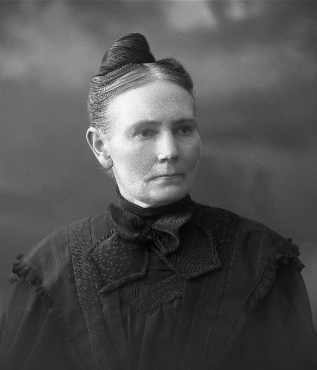 Gustav Borgen, NFB.32592