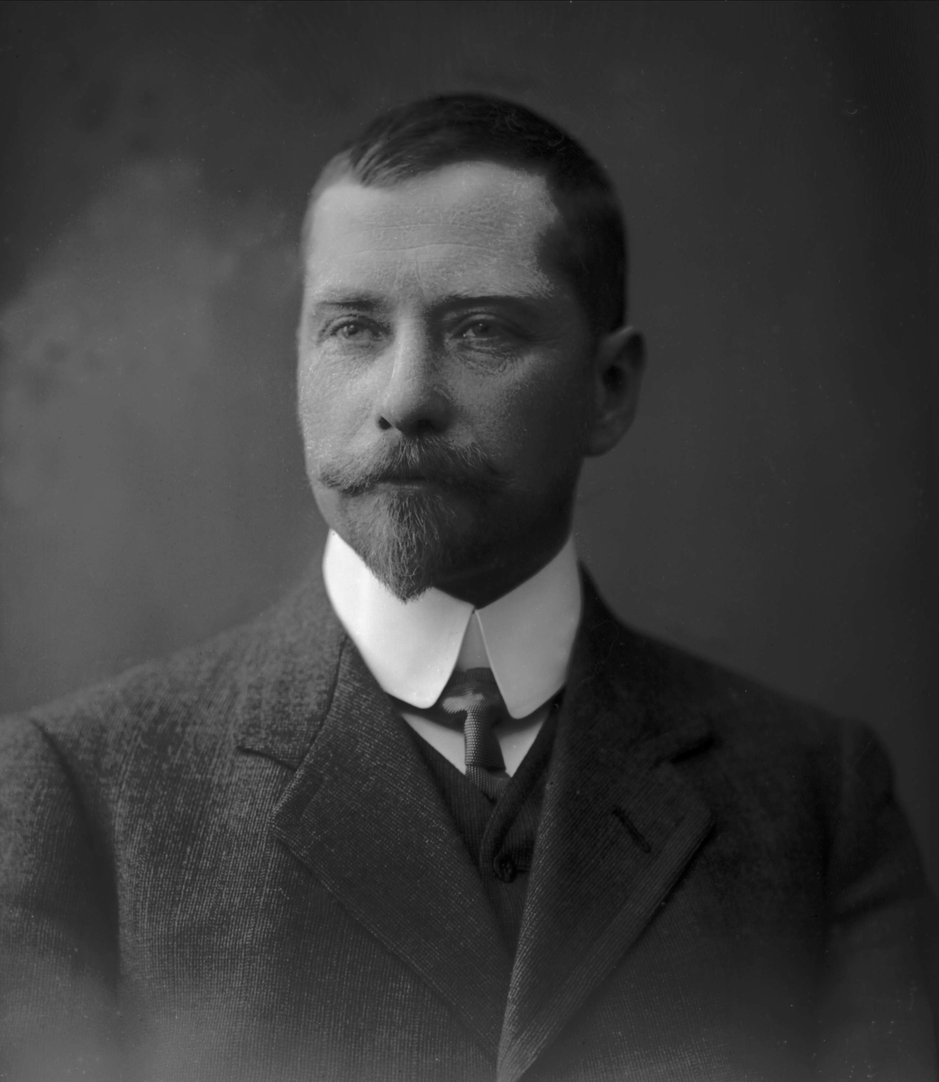 Gustav Borgen, Portrett av godseier Nikolai Bjørneby.