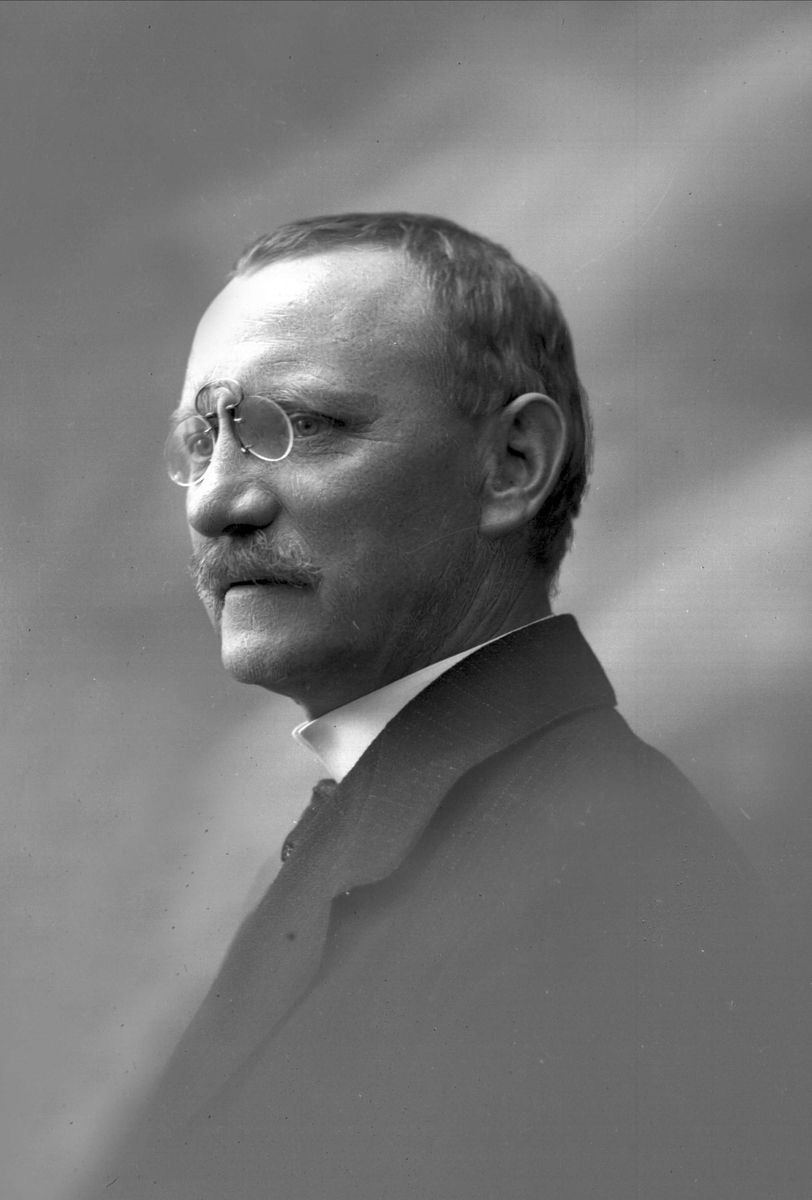 Gustav Borgen, Portrett av Joachim Wilhelm Skau.