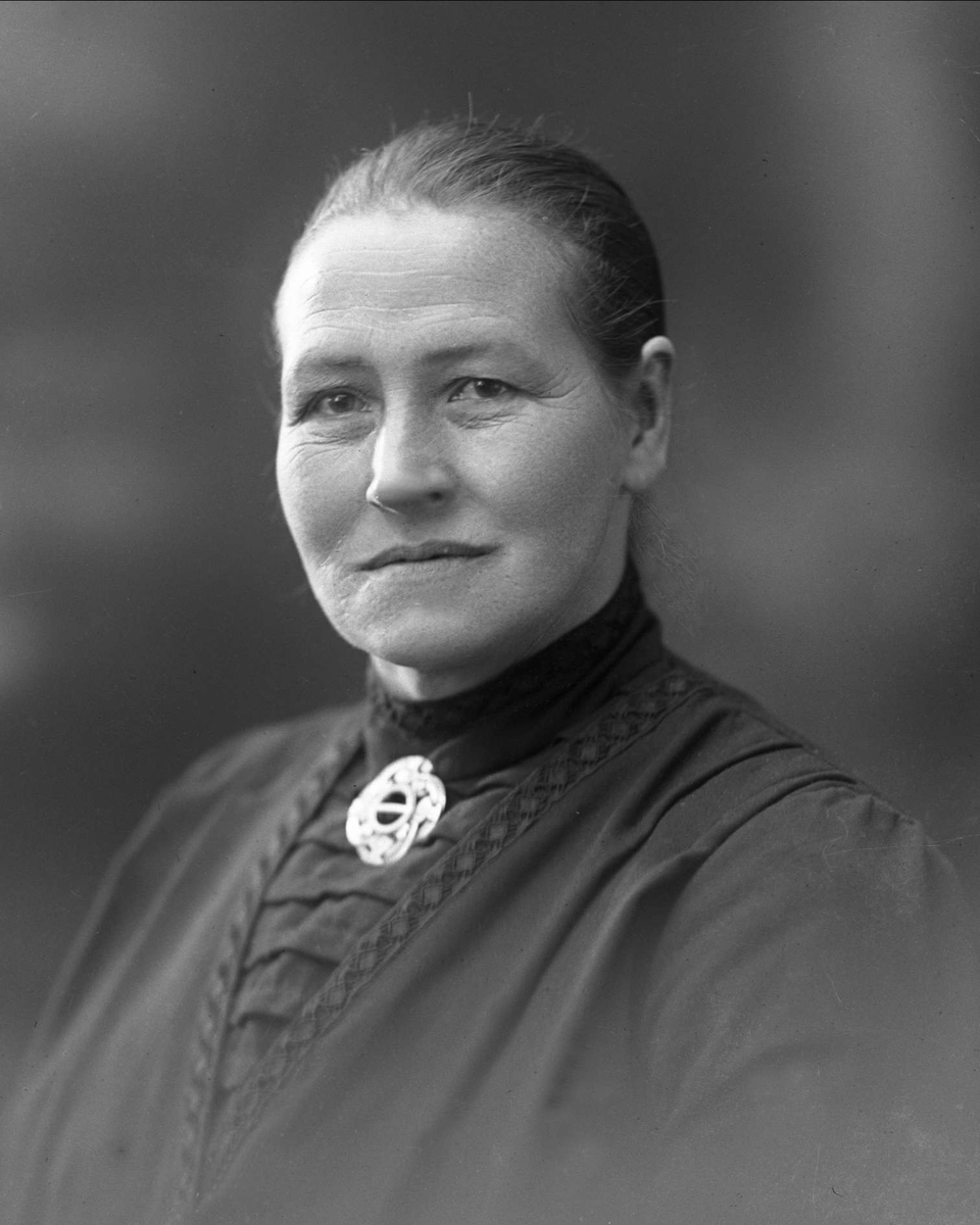 Gustav Borgen, NFB.39071