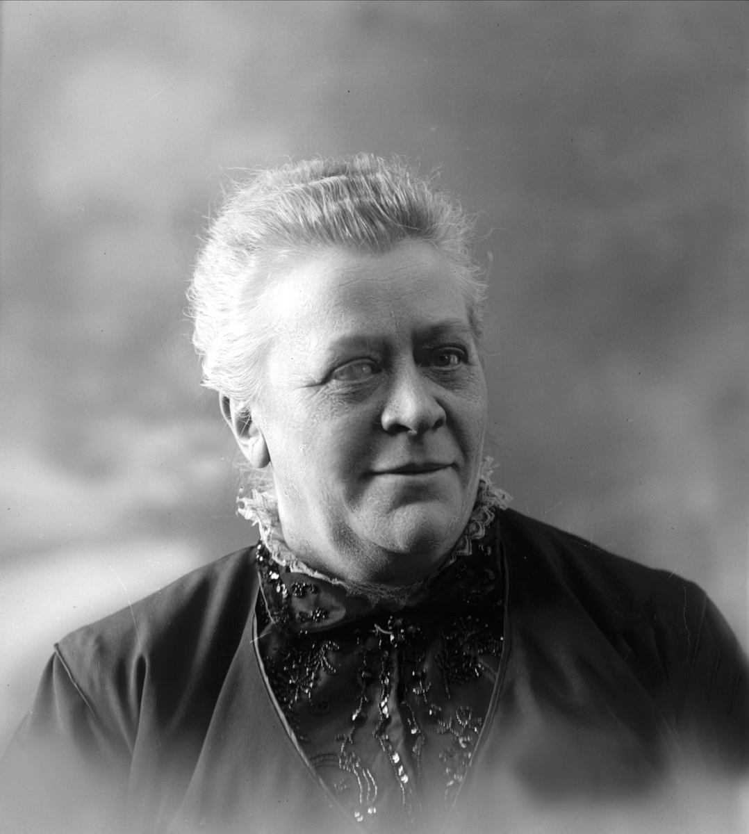 Gustav Borgen, NFB.39365
