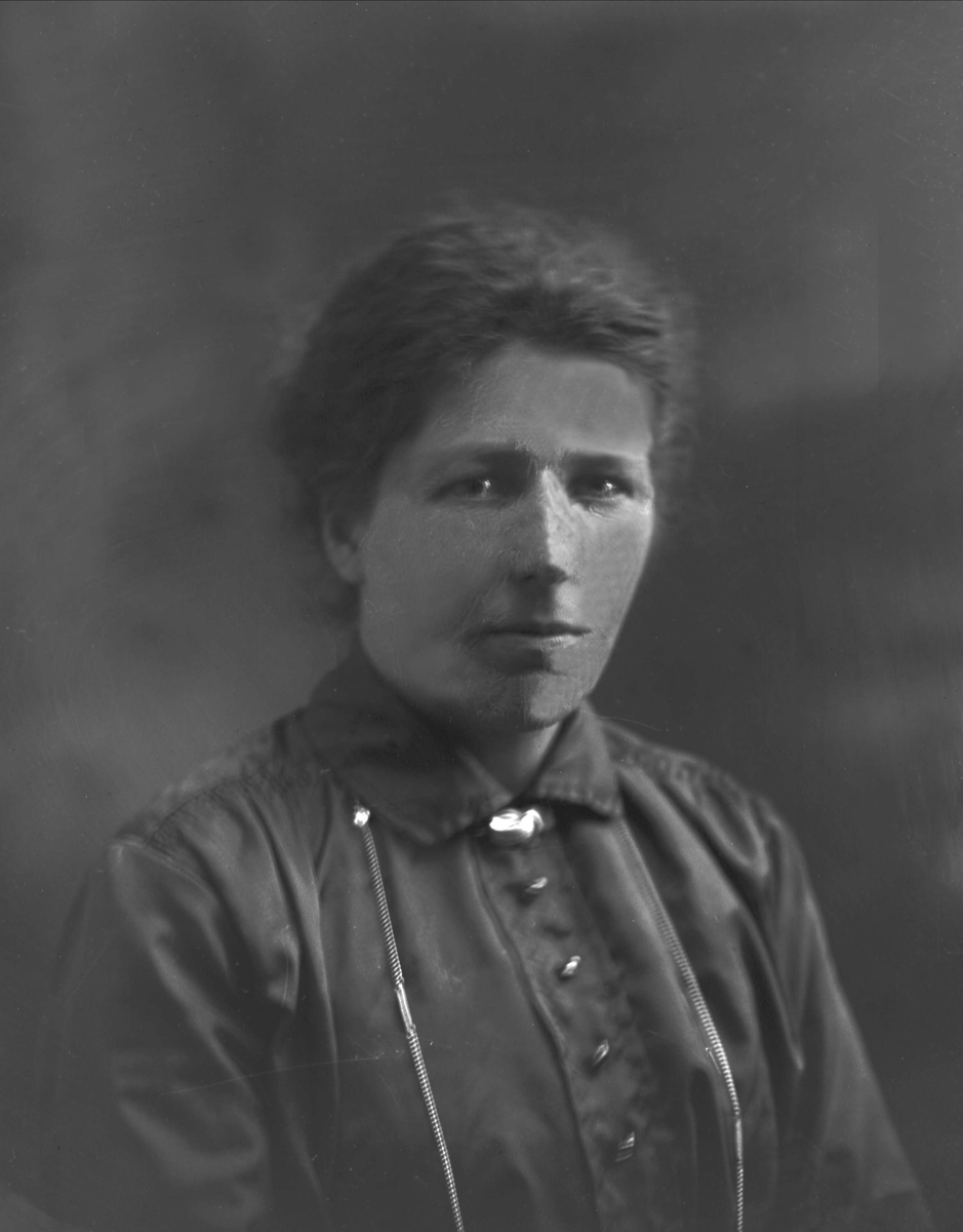 Gustav Borgen, NFB.39371