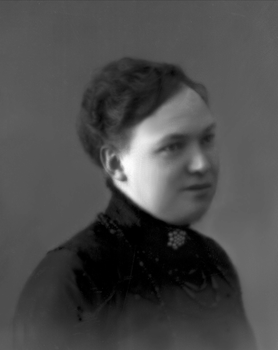 Gustav Borgen, NFB.39869