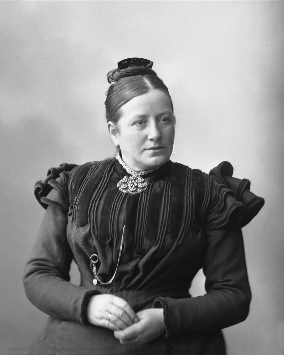 Gustav Borgen, NFB.42315