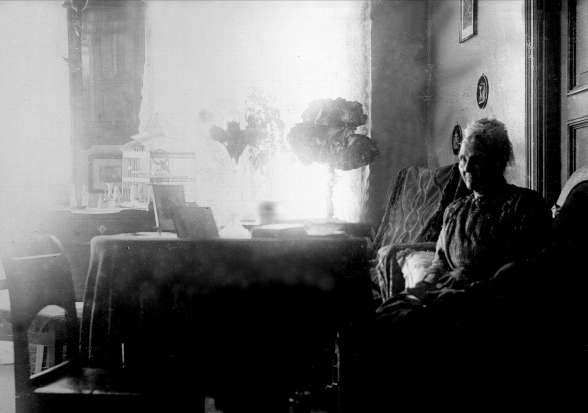 Gustav Borgen, Interiørbilde, stue med eldre dame sittende i høyre bildekant.